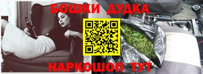 МДПВ Лесосибирск