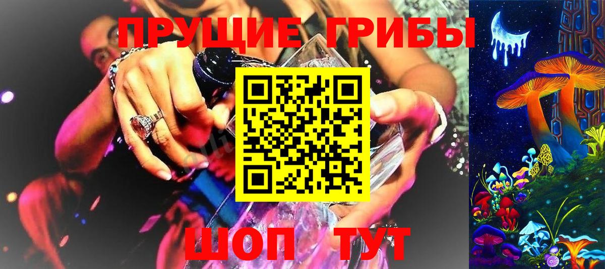 Псилоцибиновые грибы Cubensis Усть-Джегута