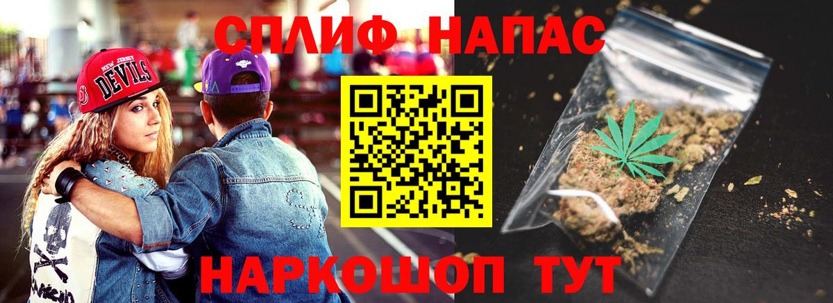 Бошки Шишки семена Усть-Джегута